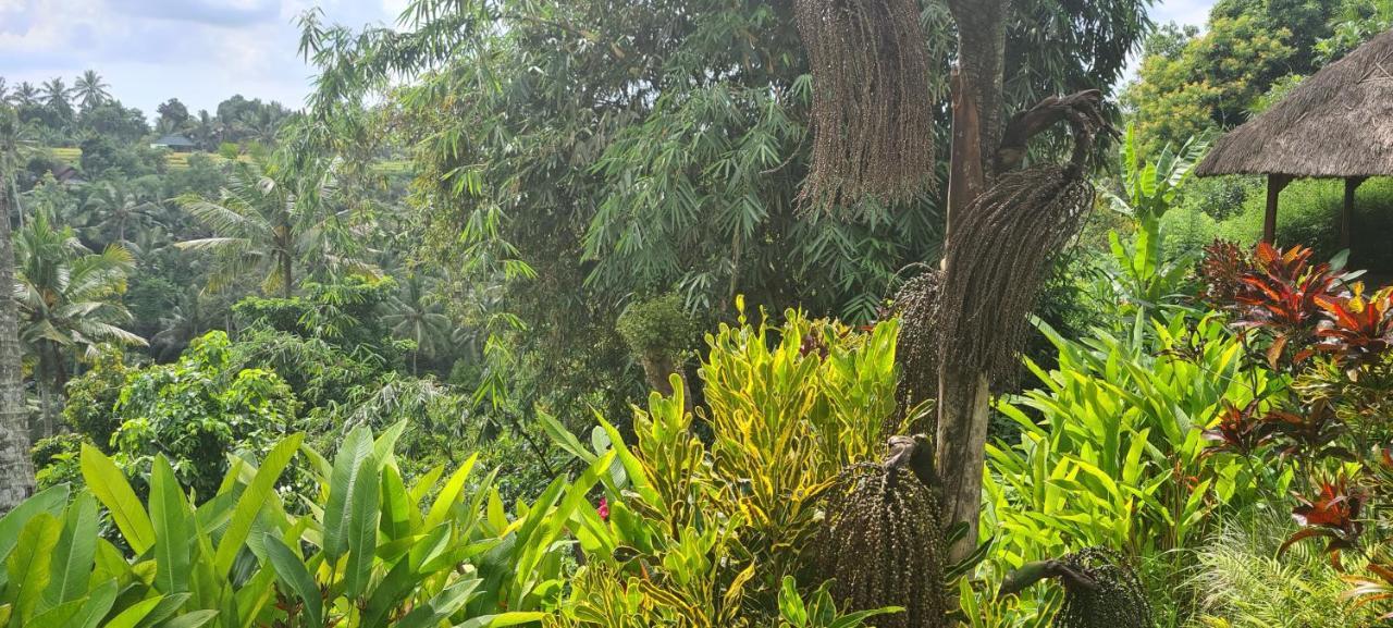 Rumah Sungai Villa Ubud Buitenkant foto