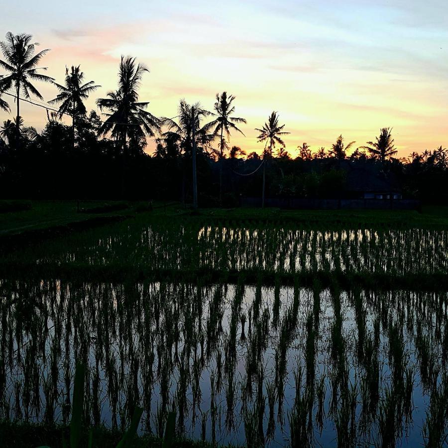 Rumah Sungai Villa Ubud Buitenkant foto