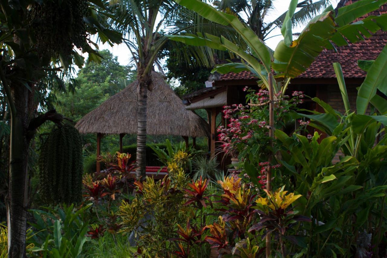 Rumah Sungai Villa Ubud Buitenkant foto
