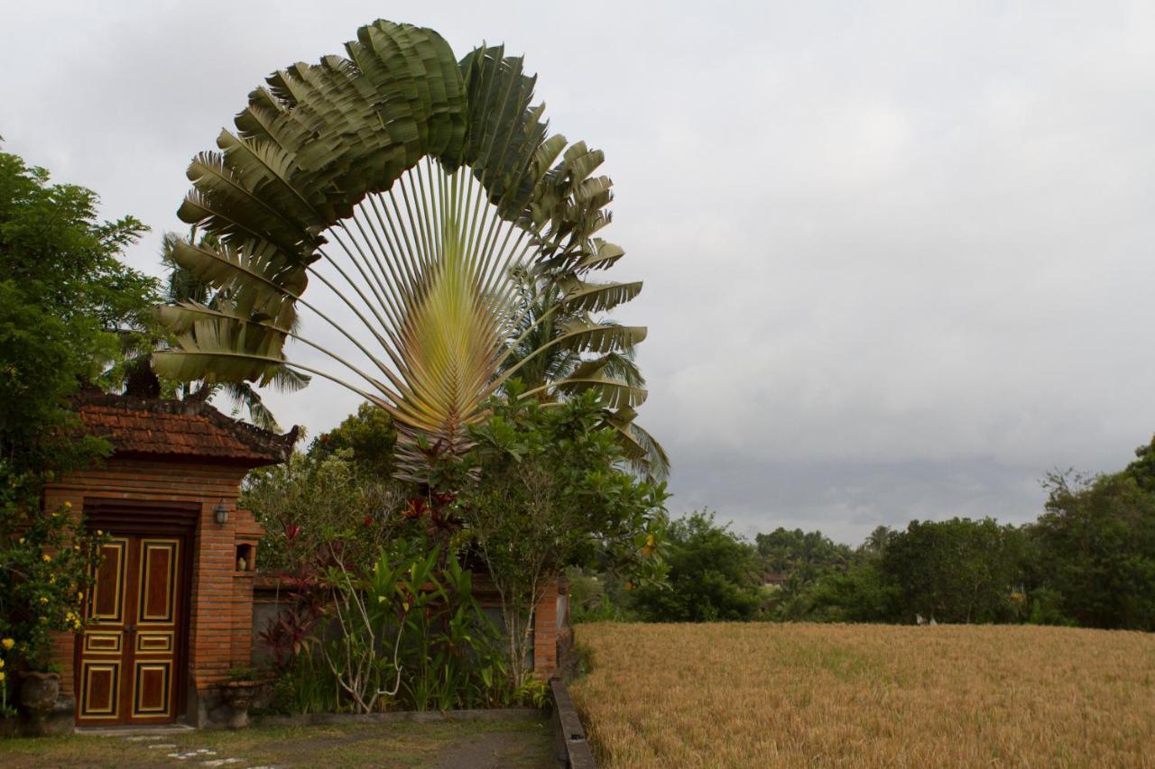 Rumah Sungai Villa Ubud Buitenkant foto