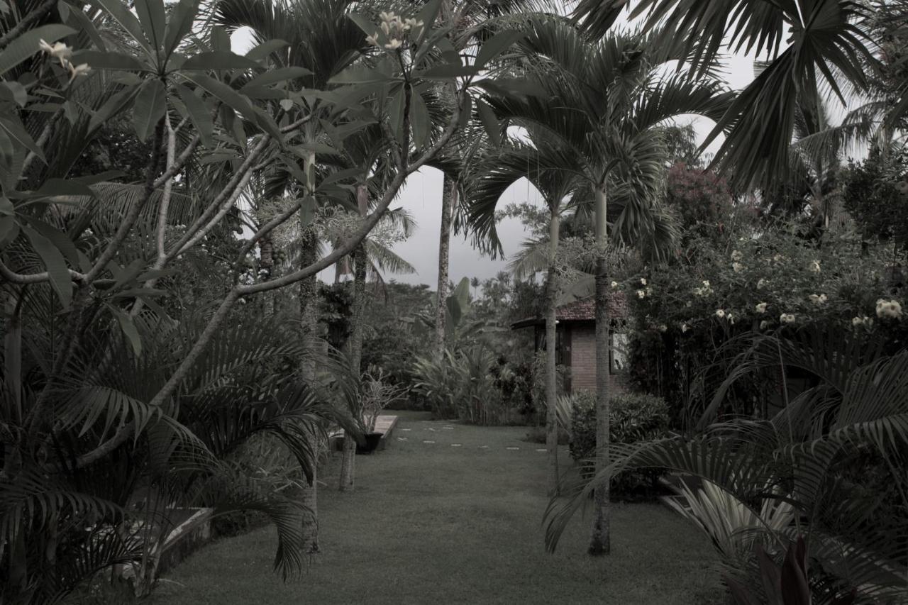 Rumah Sungai Villa Ubud Buitenkant foto