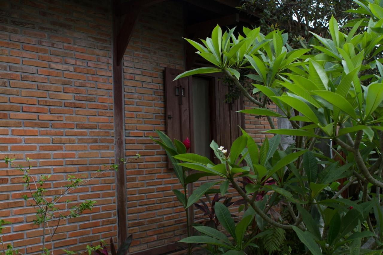 Rumah Sungai Villa Ubud Buitenkant foto