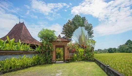 Rumah Sungai Villa Ubud Buitenkant foto