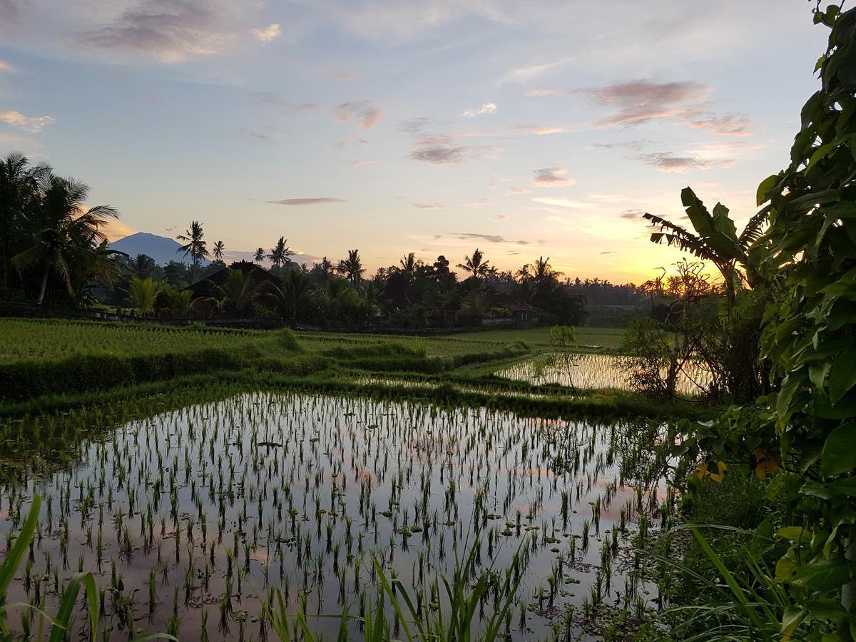 Rumah Sungai Villa Ubud Buitenkant foto