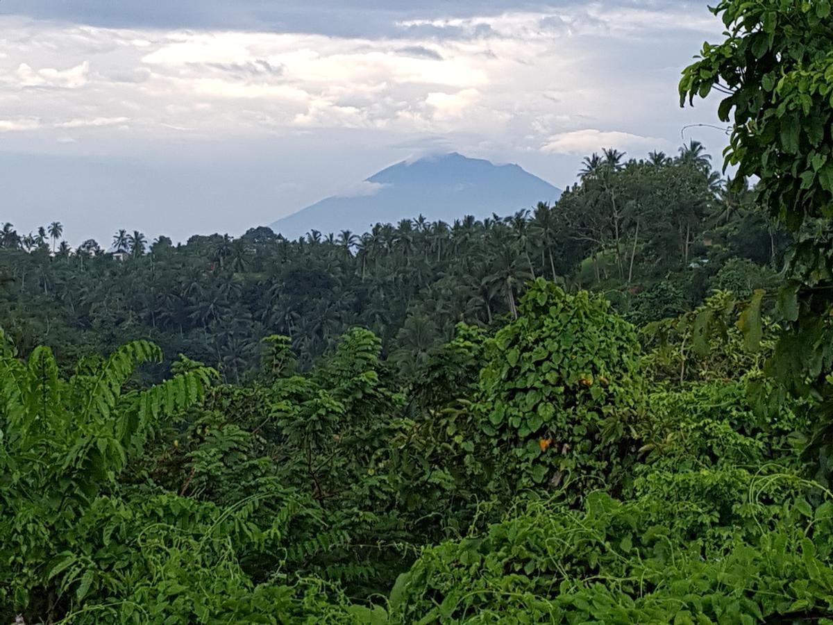 Rumah Sungai Villa Ubud Buitenkant foto