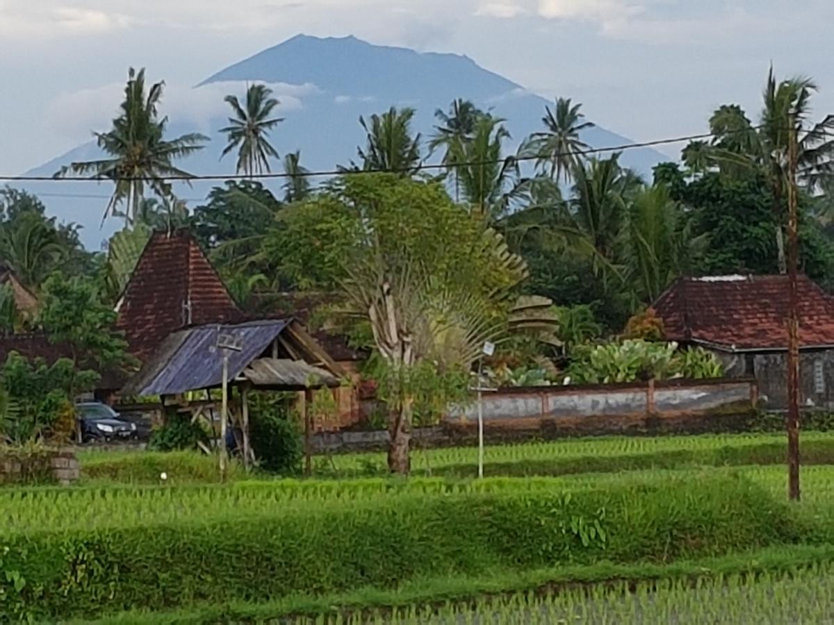 Rumah Sungai Villa Ubud Buitenkant foto