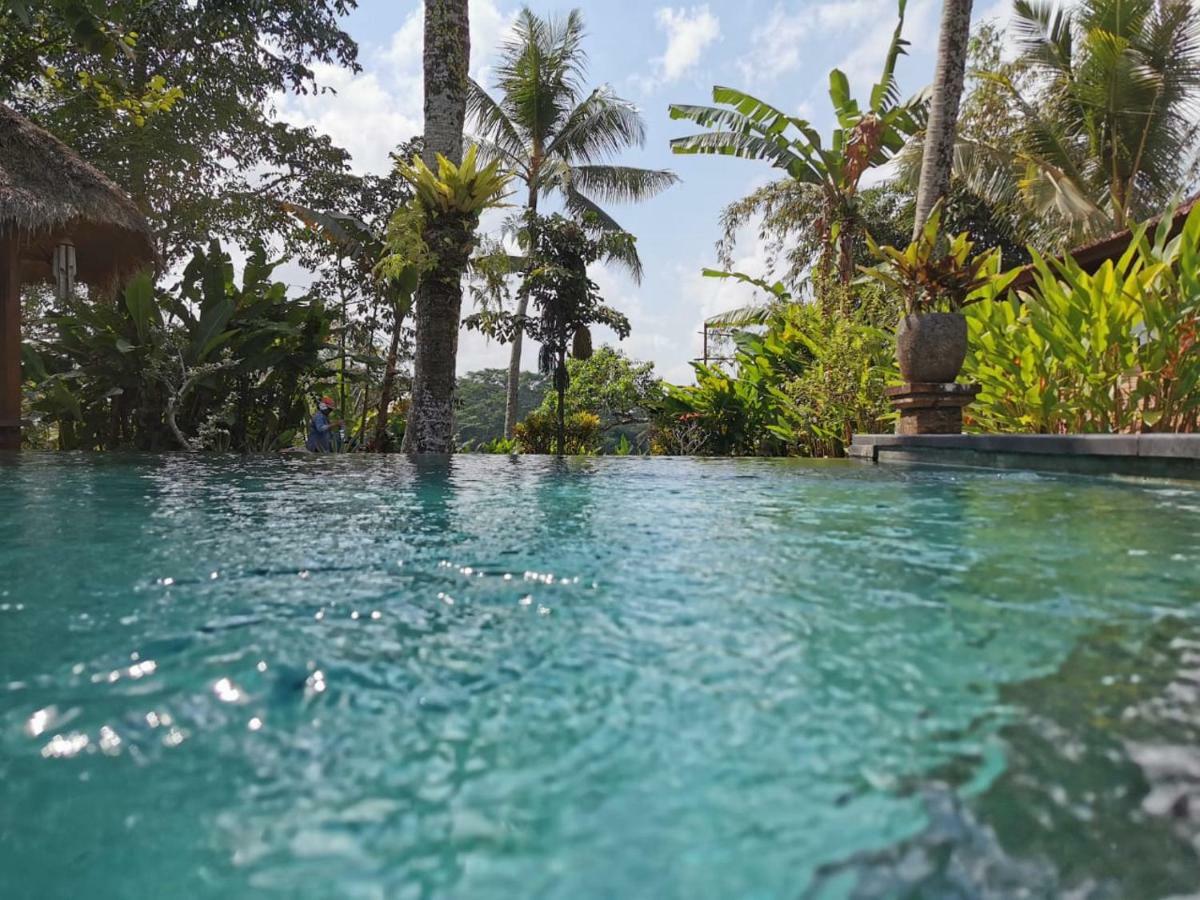 Rumah Sungai Villa Ubud Buitenkant foto