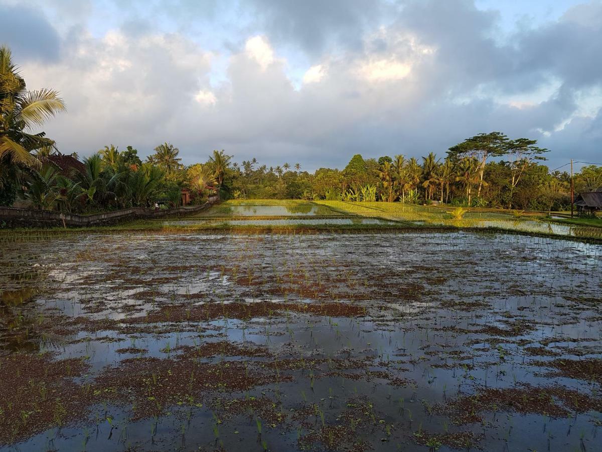 Rumah Sungai Villa Ubud Buitenkant foto